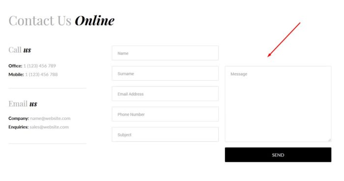 Divi theme Contact form bug