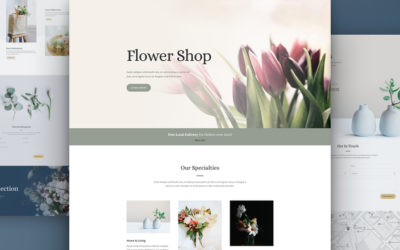 Download The Free and Lovely Florist Layout Pack for Divi