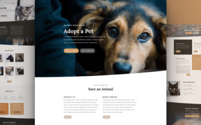 Animal Shelter Free Divi Layout Pack