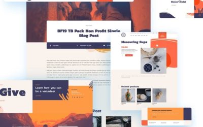 Free Divi Non-Profit Theme Builder Pack