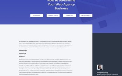 Web Agency Free Divi Blog post layout