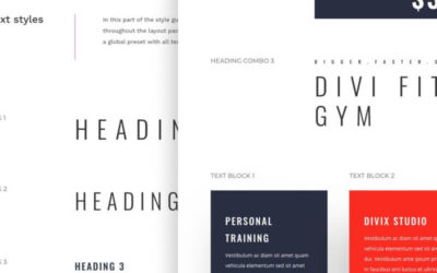 Global Presets for the Divi Fitness Gym Layout Pack