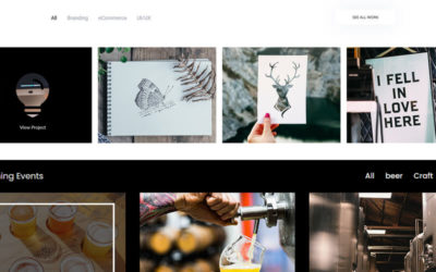 Divi Portfolio Modules & Sections