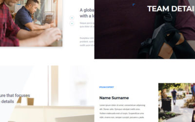 Divi Team Member Layouts