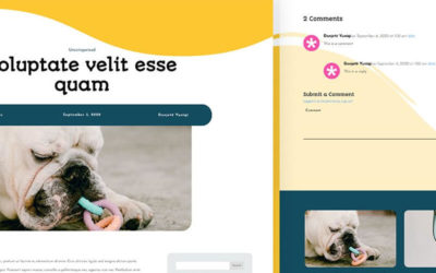 Free Divi Blog Post Template for Pet Supply Layout Pack