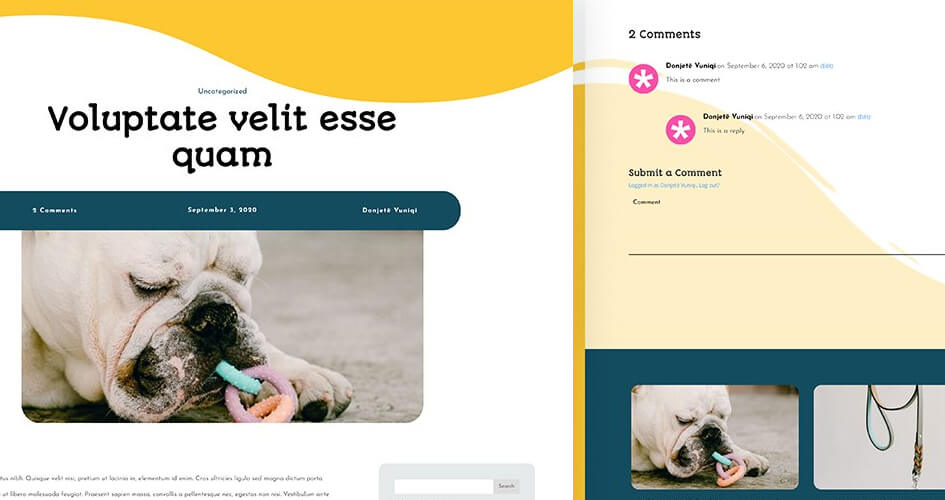 Free Divi Blog Post Template for Pet Supply Layout Pack