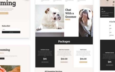 Grooming Free Divi Layout Pack