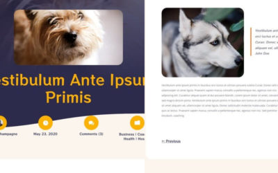 Free Divi Blog Post Template for Dog Breeder Layout Pack