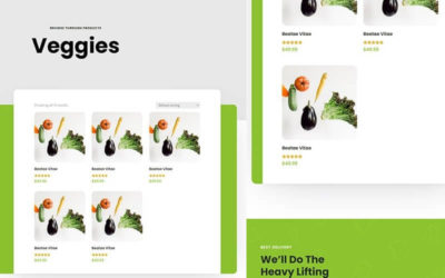 Free Divi Product Category Template for Grocery Delivery Layout Pack