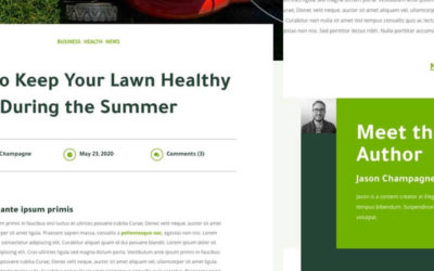 Free Divi Blog Post Template for the Landscape Maintenance Layout Pack