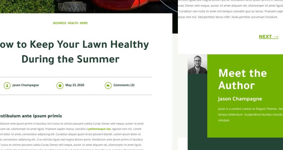 Free Divi Blog Post Template for the Landscape Maintenance Layout Pack