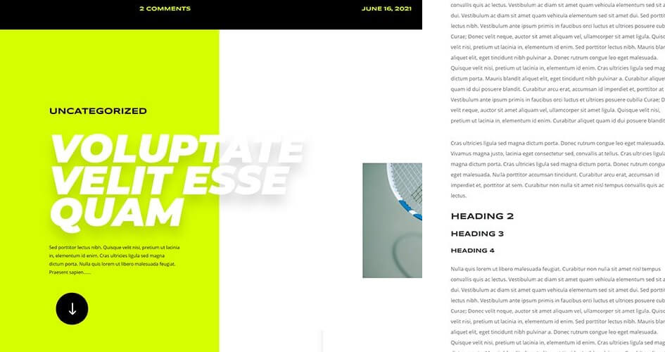 Free Divi Blog Post Template for the Tennis Club Layout Pack