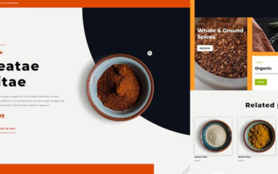 Free Divi Product Template for the Spice Shop Layout Pack