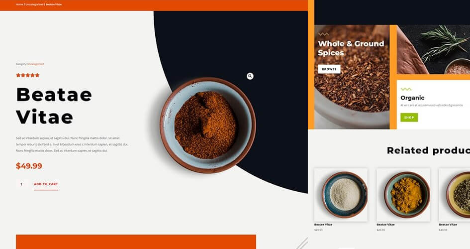 Free Divi Product Template for the Spice Shop Layout Pack