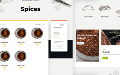 Free Divi Product Category Template for the Spice Shop Layout Pack