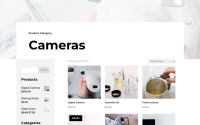 Free Divi Product Category Template for the Camera Product Layout Pack
