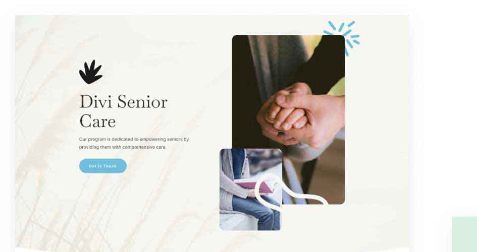 Senior Care Free Divi Layout Pack