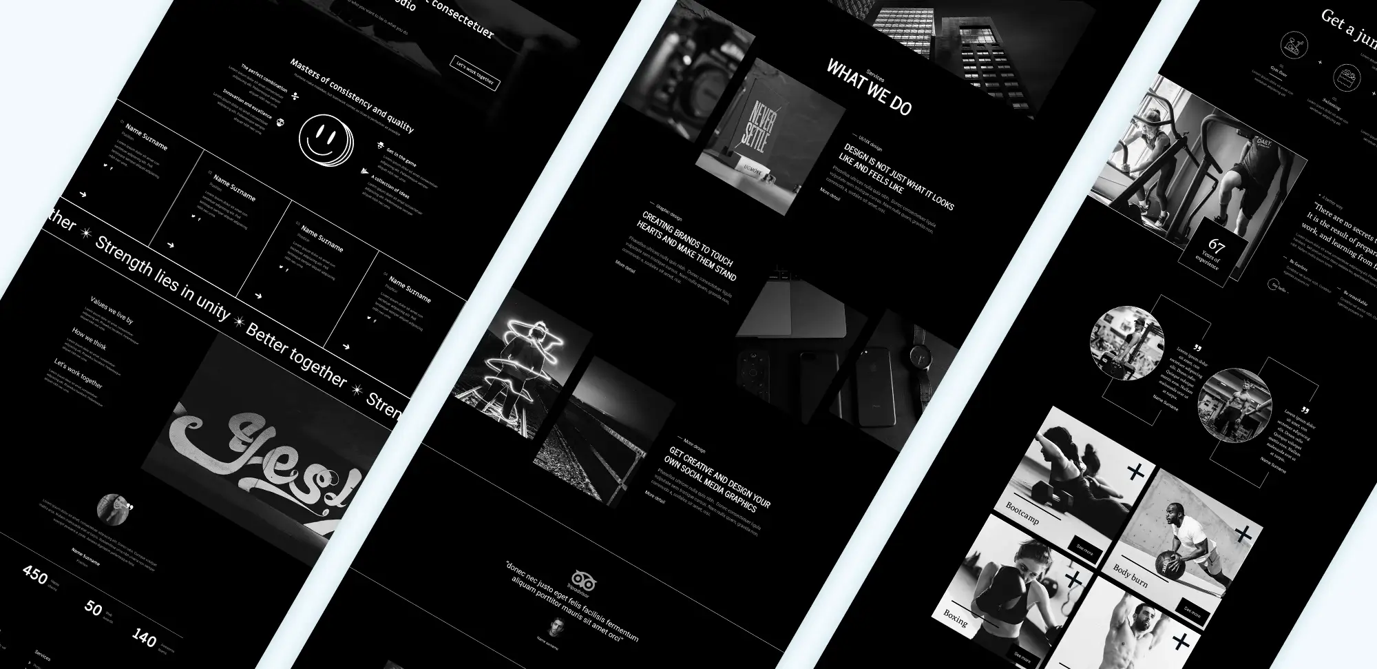 WordPress Divi Theme